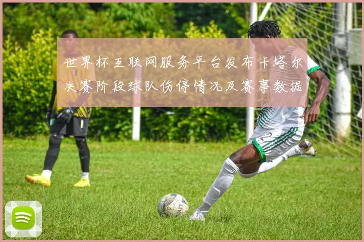 世界杯互联网服务平台发布卡塔尔决赛阶段球队伤停情况及赛事数据分析
