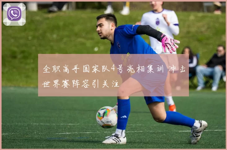 全职高手国家队4号亮相集训 冲击世界赛阵容引关注