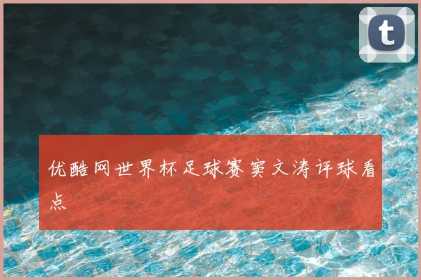 优酷网世界杯足球赛窦文涛评球看点