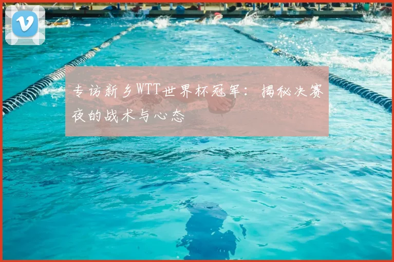 专访新乡WTT世界杯冠军：揭秘决赛夜的战术与心态