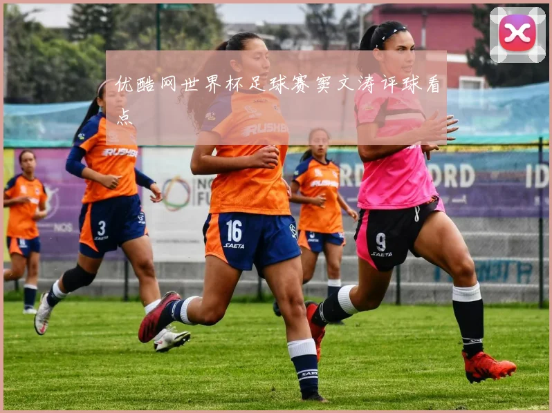 优酷网世界杯足球赛窦文涛评球看点
