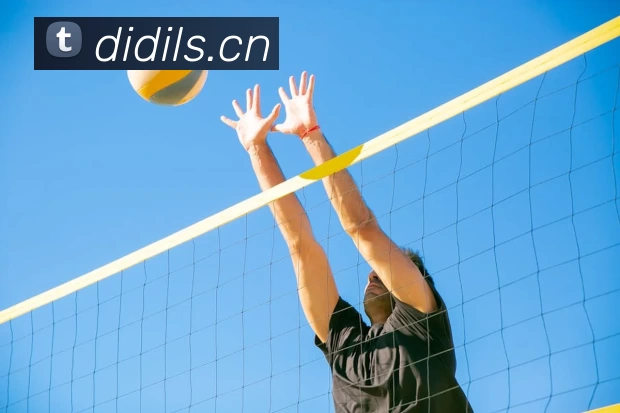 乐鱼官方端网站登录入口 - 乐鱼leyu(中国)APP 高清赛事图